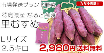 里むすめ2.5kg
