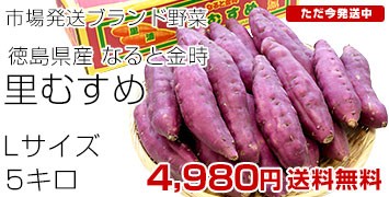 里むすめ5kg