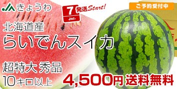 炢łXCJGi