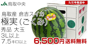 qgɎ