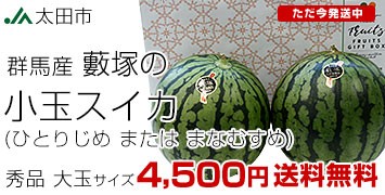 ˏʃXCJ