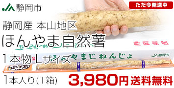 本山自然薯L