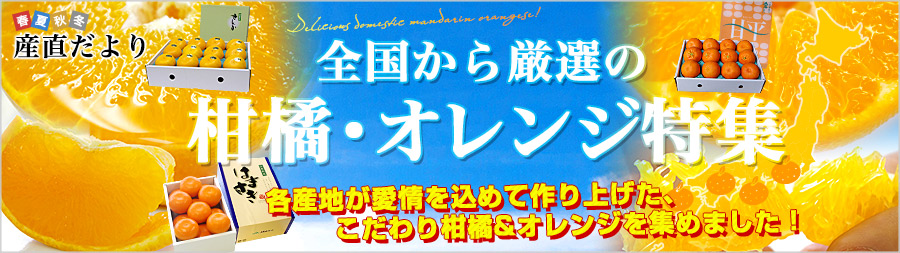 �S�����猵�I�̊��k�E�I�����W���W