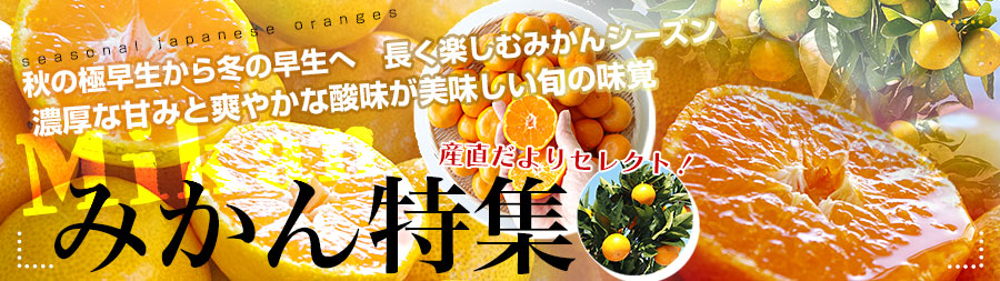 みかん特集