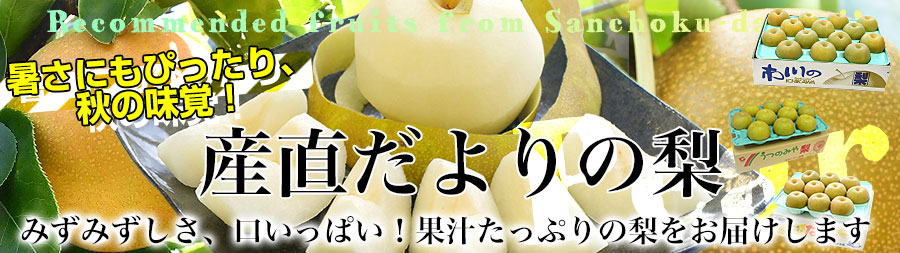 厳選梨