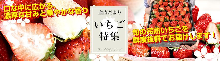 いちご特集