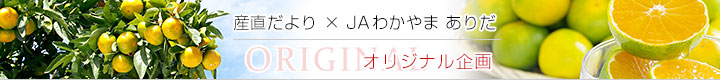 JAありだ産直オリジナル