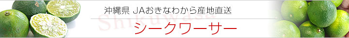 JA沖縄シークワーサー
