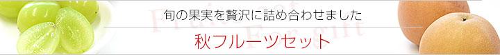 秋フルーツセット
