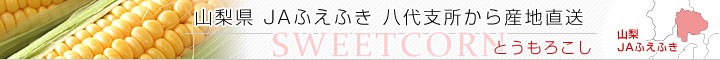 JAӂӂx