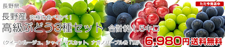 長野ぶどう3種セット