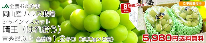 RnEXVC1.2kg