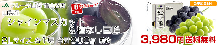 山梨シャイン巨峰セット