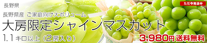 ご家庭向けシャイン