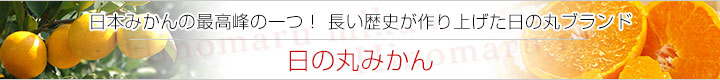 日の丸みかん