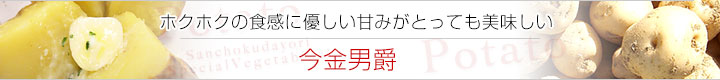 今金男爵