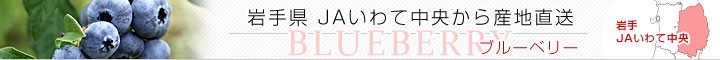 JAĒu[x[