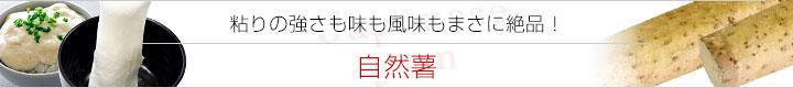 自然薯冠