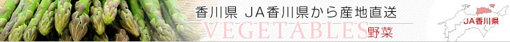 JA쌧