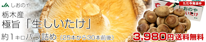 しおのや椎茸1キロ