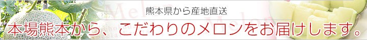 {ԌF{̃_
