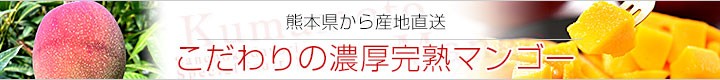 ̔Zn}S[