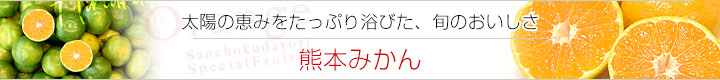 熊本みかん