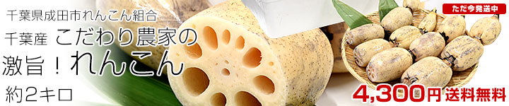 ���c��񂱂�