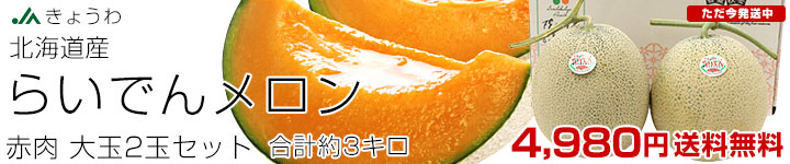 らいでんメロン 赤2玉3キロ