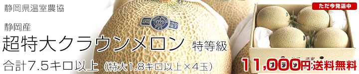 クラウンメロン特4玉