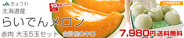 SPらいでんメロン赤肉
