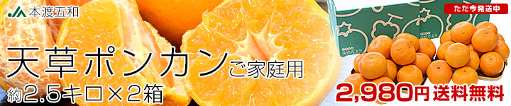 �V���ۂ񂩂񂲉ƒ�p2.5kg2��