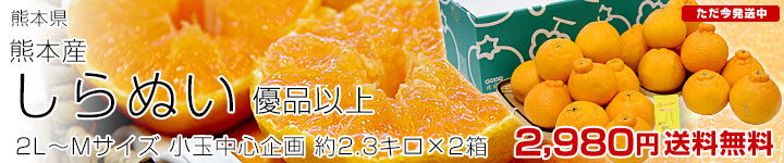 ����ʂ�2��