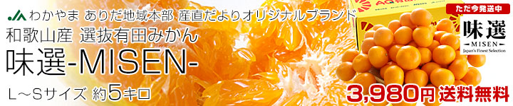 有田味選みせんLS5キロ