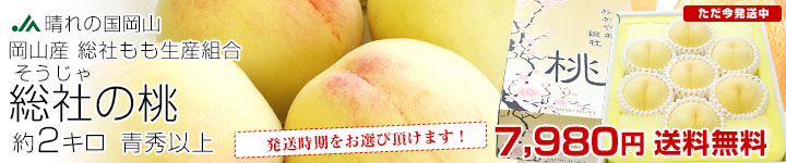 えらべる総社の桃2キロ