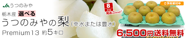 プレミアム13