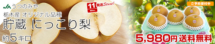 貯蔵にっこり梨