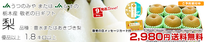 敬老の日 梨6玉