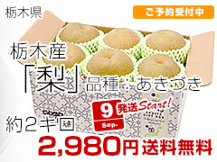 栃木あきづき梨2キロ