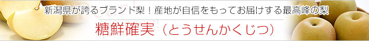 新潟糖鮮確実梨