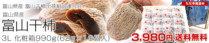 �x�R���`990g