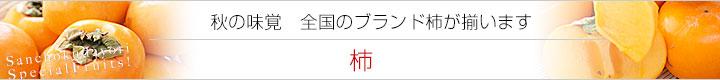 秋の味覚 柿