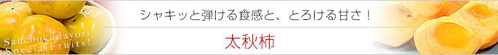太秋柿看板
