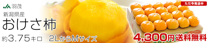 羽茂おけさ柿3.75キロ