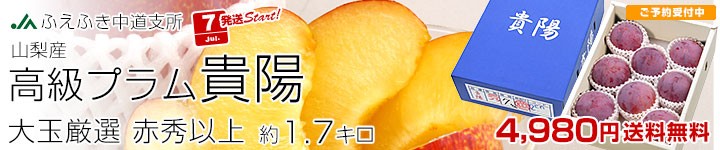 Mzv
