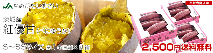 紅優甘 SからSS3箱