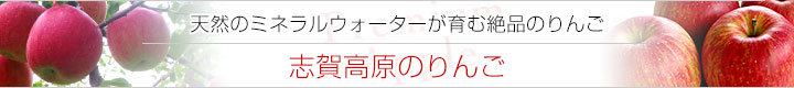 志賀高原のりんご