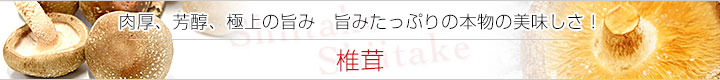 しいたけ看板