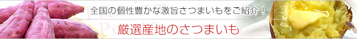 厳選産地のさつまいも