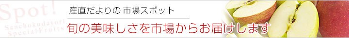 sX|bg
